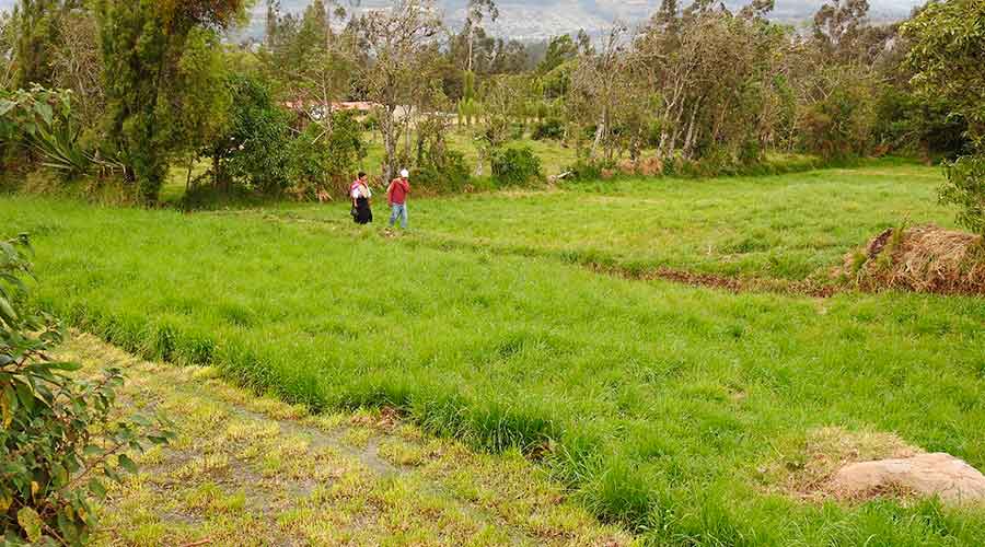 About The Area