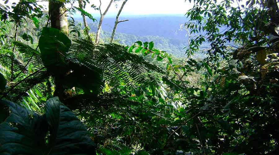 About The Area Shuar Community