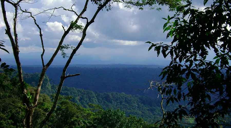 About The Area Shuar Community