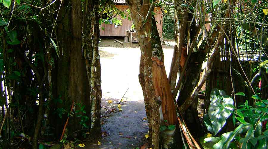 About The Area Shuar Community
