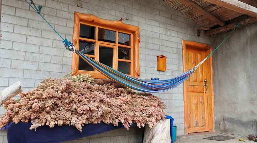 Accommodation and Meals Otavalo Indigenous Community