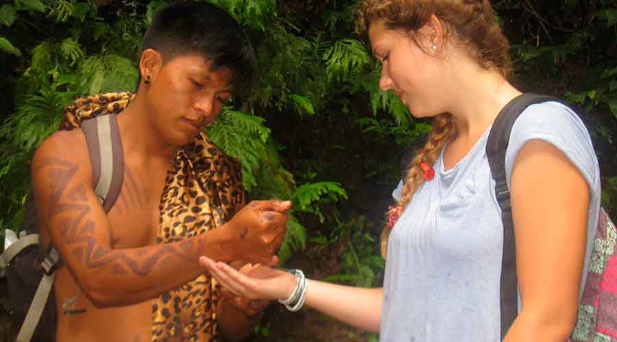 Jungle Journeys