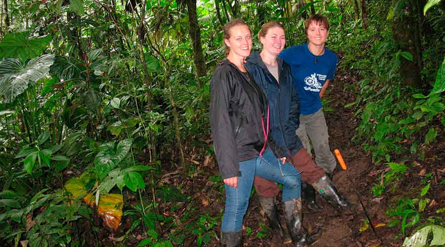 Jungle Journeys
