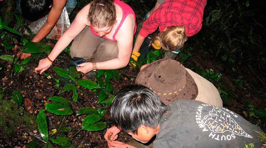 Optional Volunteering Experiences