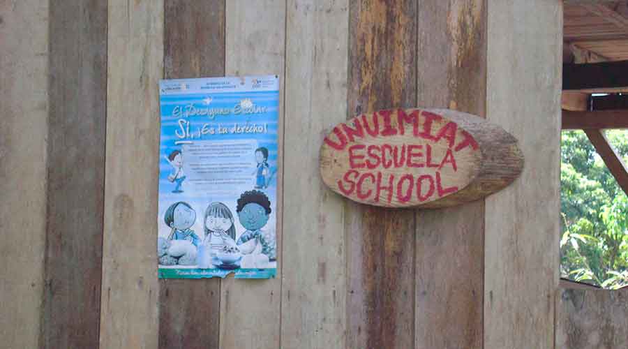 Optional Volunteering Experiences