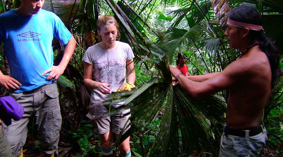 Optional Volunteering Experiences