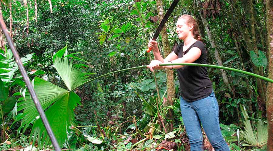 Optional Volunteering Experiences