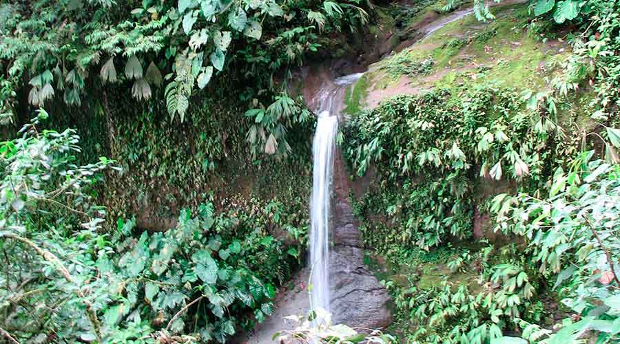 Waterfall
