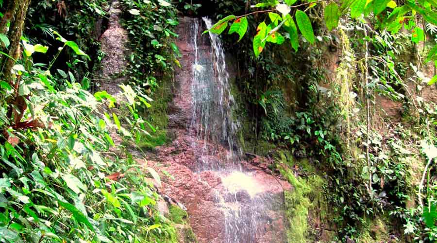 Waterfall