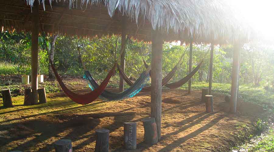 Indigenous Communities