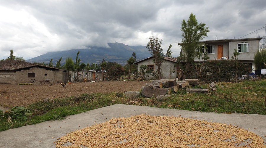 Otavalo Indigenous Community