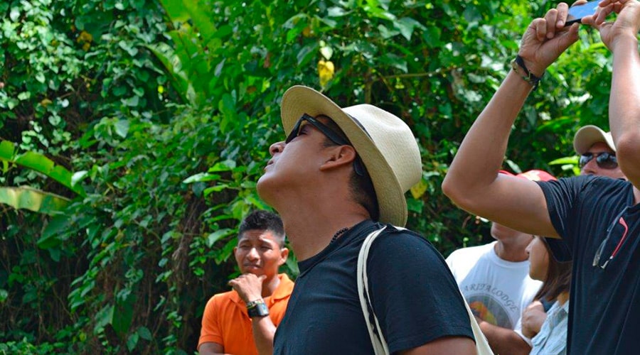 Observing Wildlife