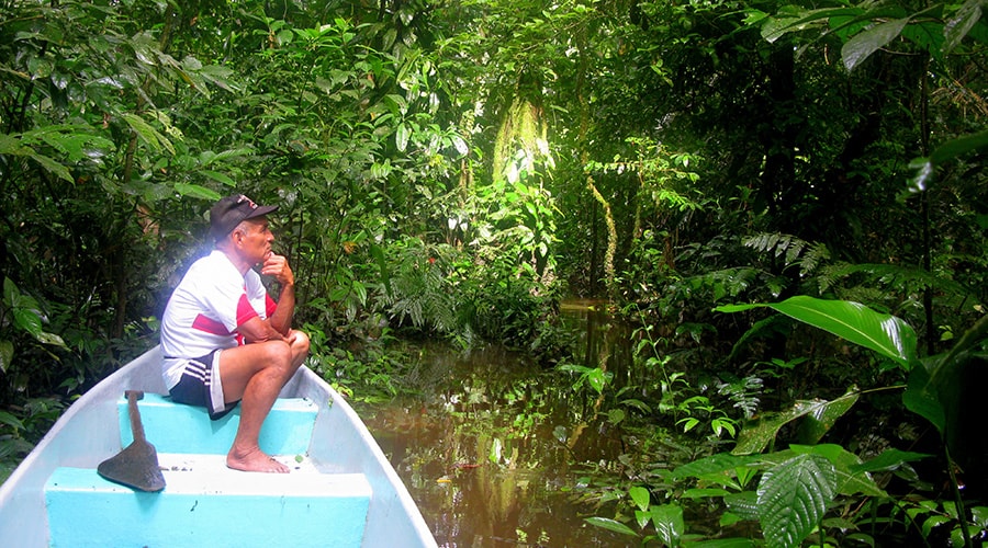 Observing Wildlife