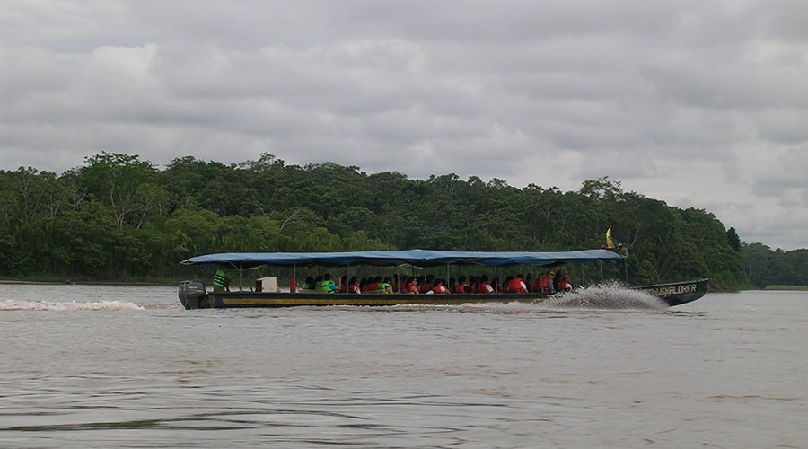 How To Get Our Location In The Amazon Jungle
