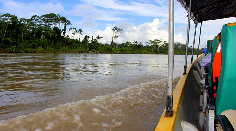 How To Get Our Location In The Amazon Jungle