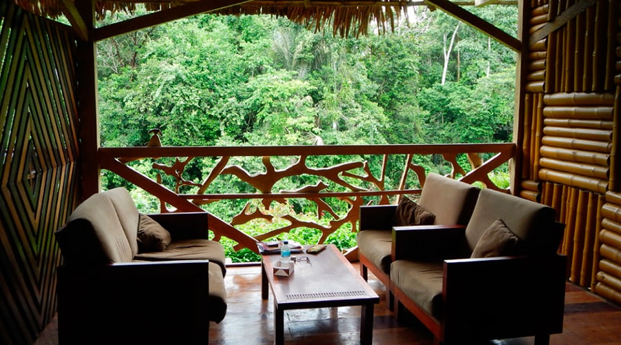 Our Spanish Institute in The Amazon Jungle