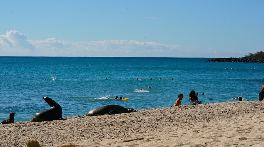 Activities in The Galapagos Islands