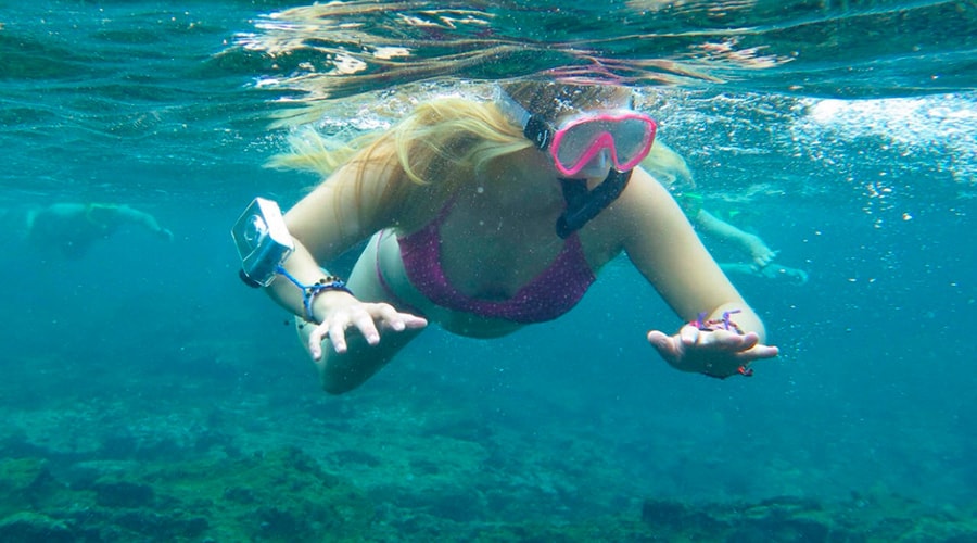 Activities in The Galapagos Islands