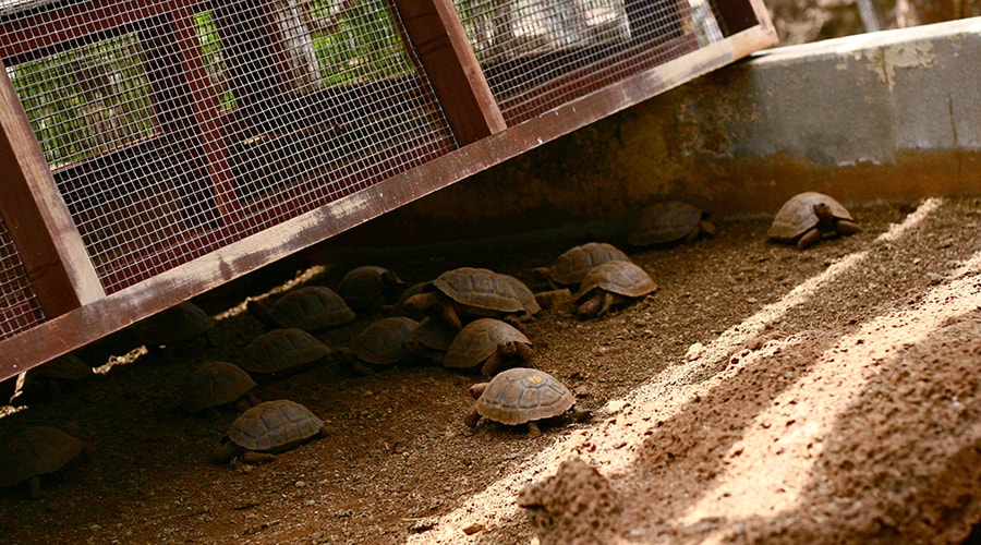Charles Darwin Research Center