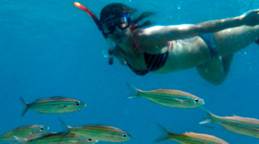 Snorkeling And Diving