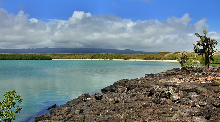 Tortuga Bay