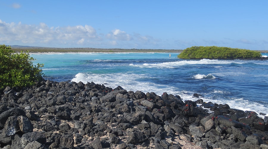 Tortuga Bay