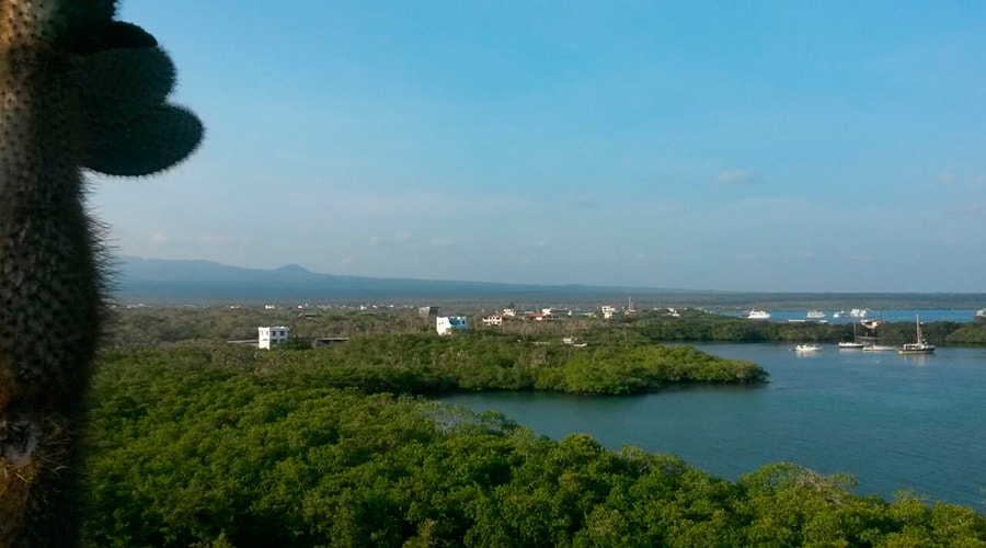 Tour of Bahia
