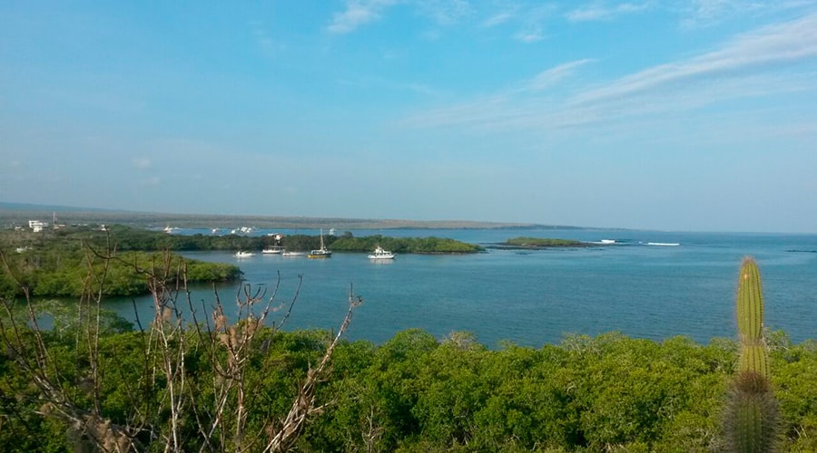 Tour of Bahia