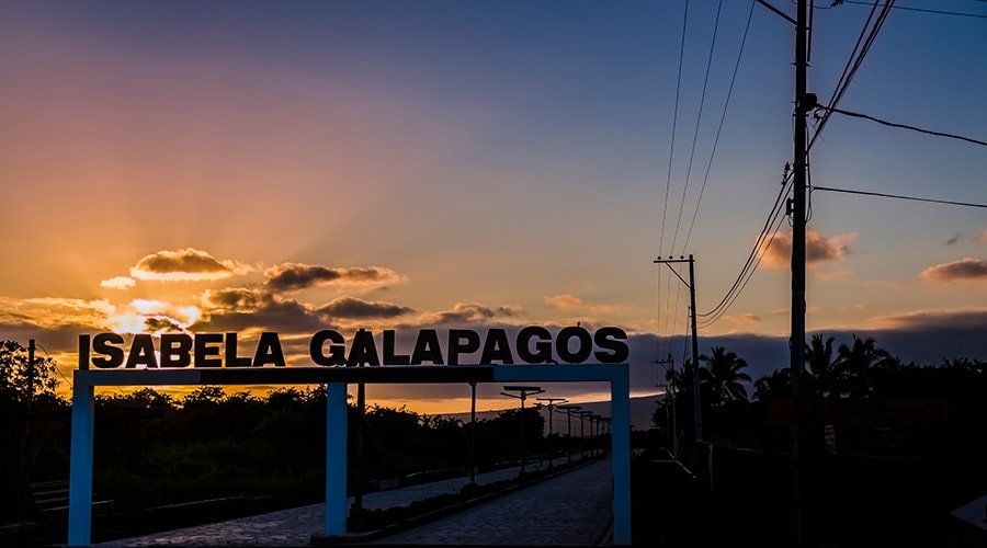 The Amazing Galapagos Islands 