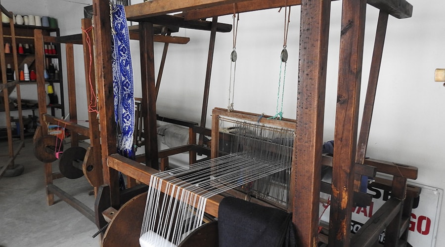 Museo Viviente