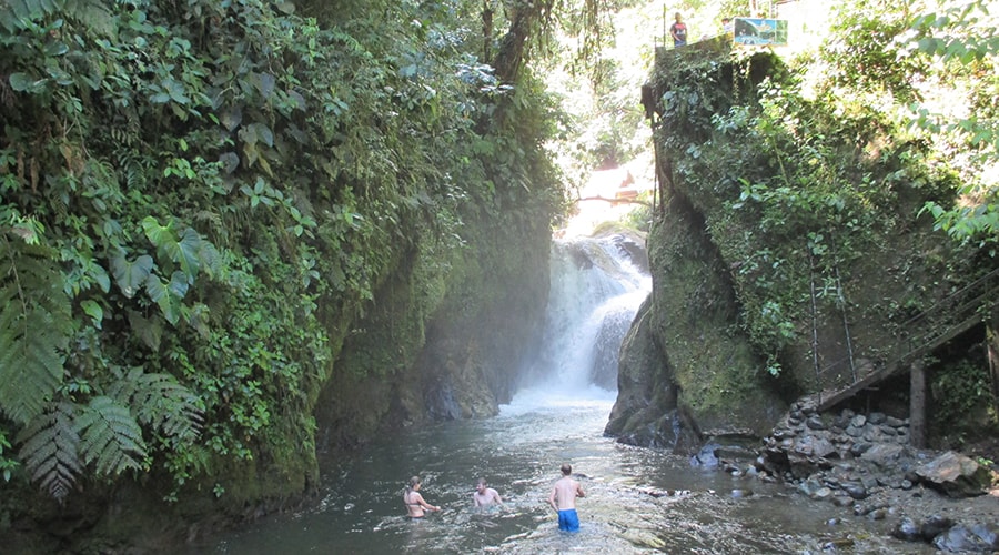 Mindo Cloud Forest (Weekend Trip)