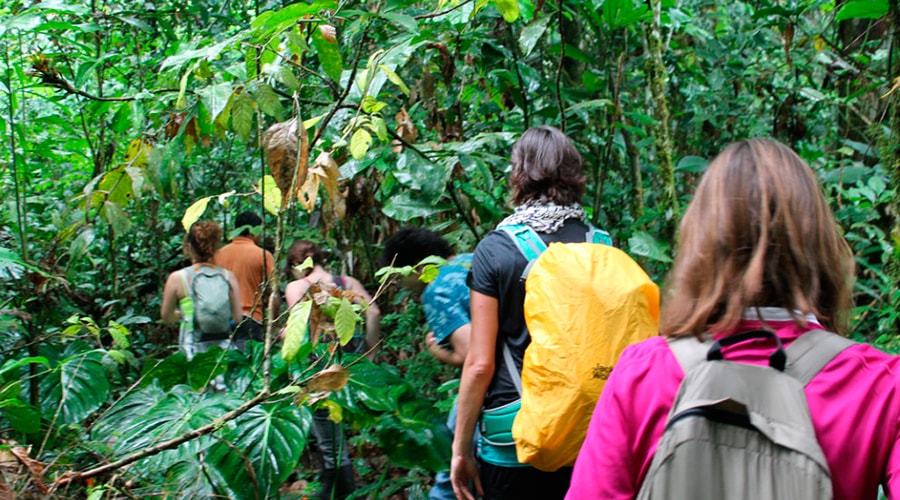 Andes/Amazon Jungle – 12 days