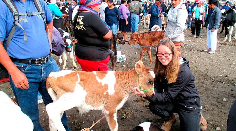 Experience Ecuador – 16 days