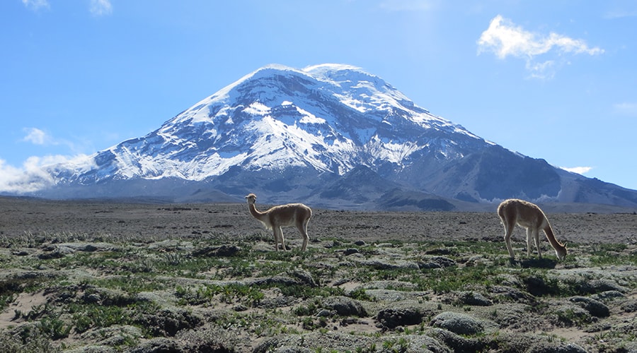 Exploring Ecuador – 19 days