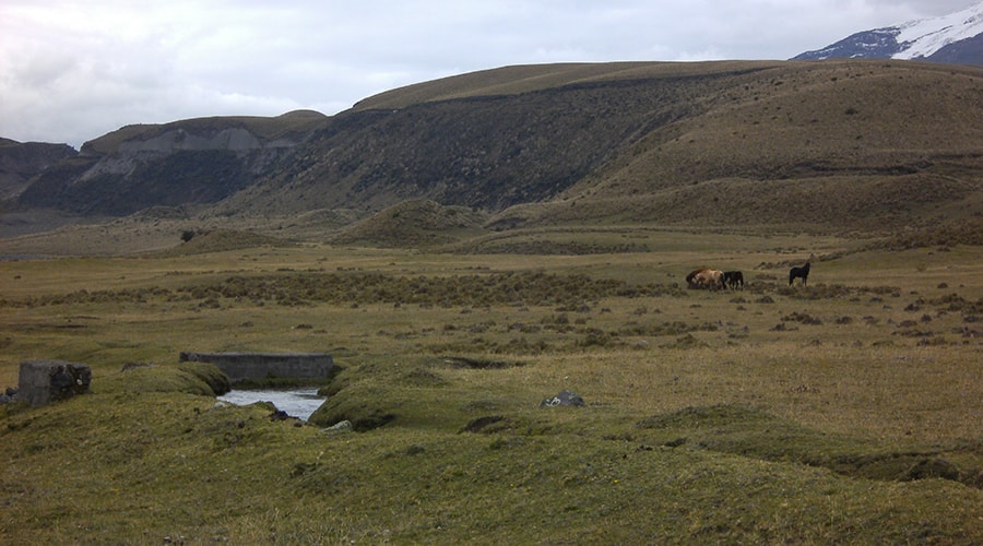 Cotopaxi National Park