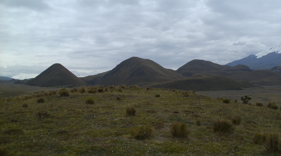 Cotopaxi National Park