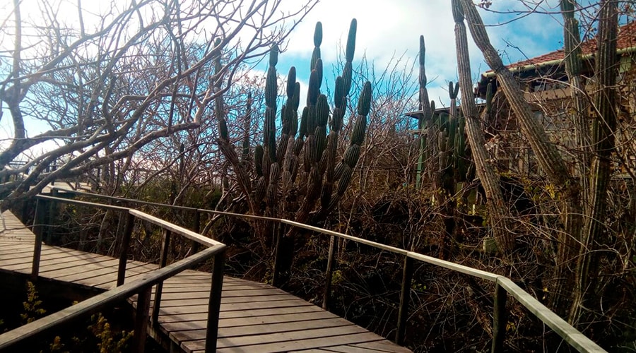Interpretation Center, Cerro Tijeras (Frigatebird Hill)