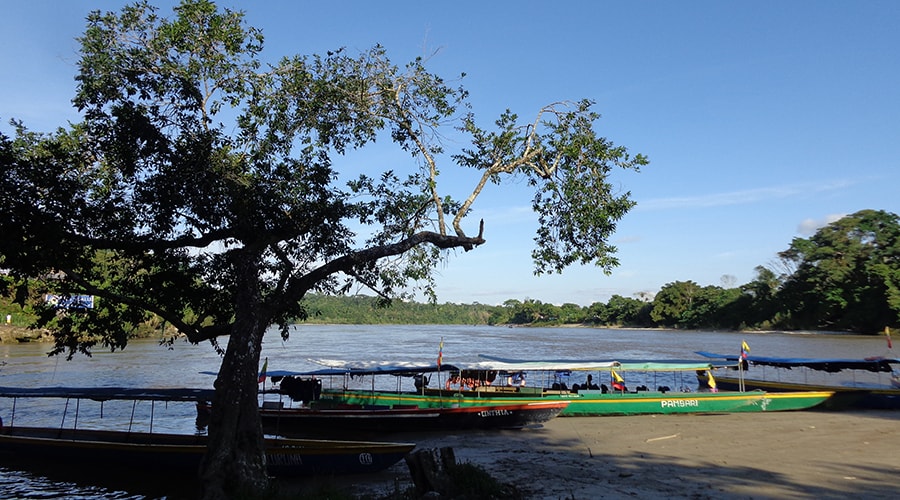 Jungle Napo River