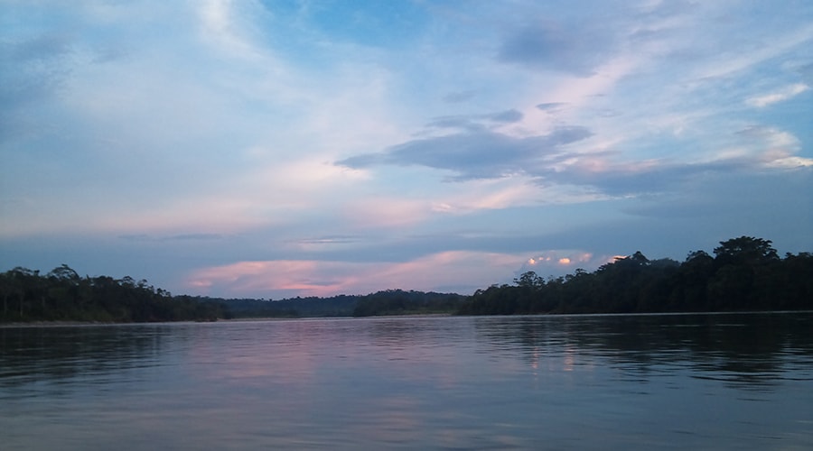 Jungle Napo River