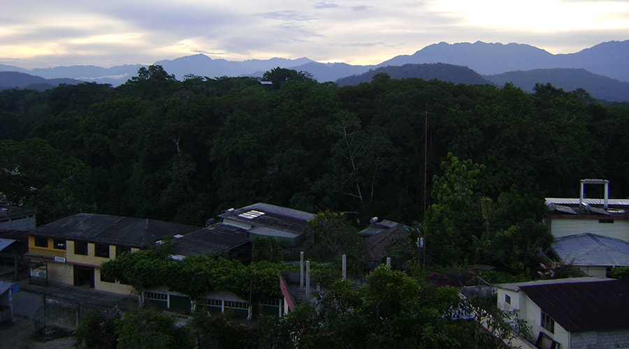 Tena