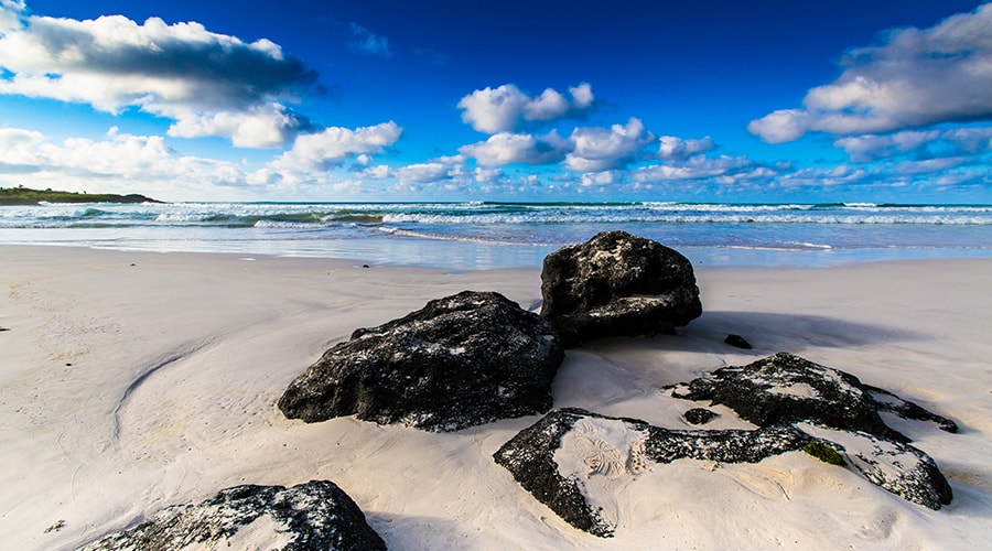 Tortuga Bay