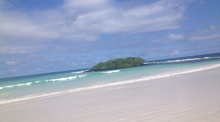 Tortuga Bay