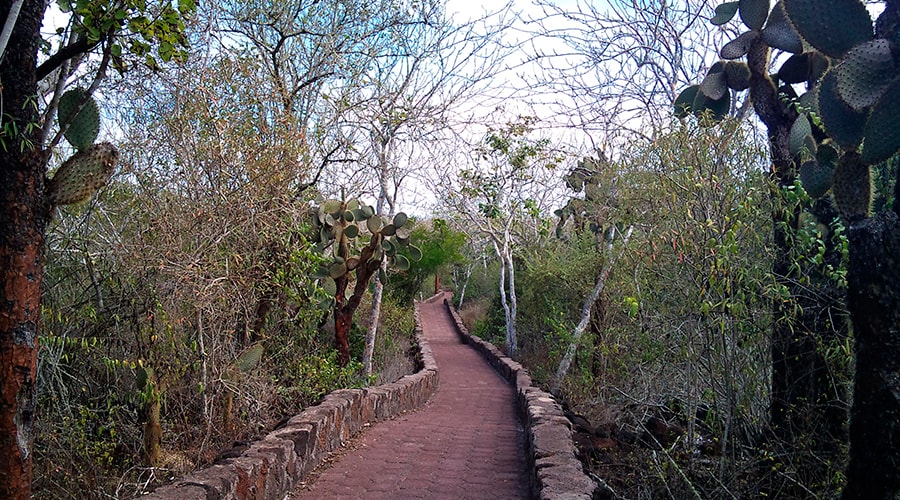 Tortuga Bay