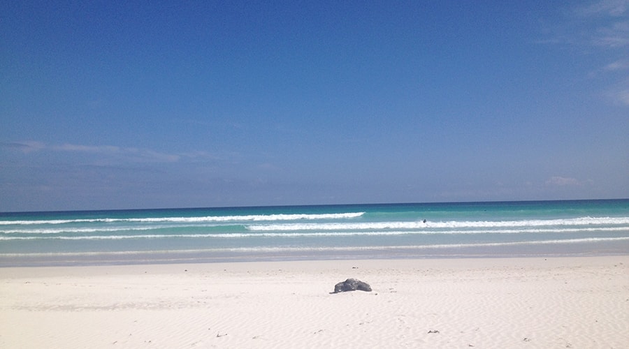 Tortuga Bay