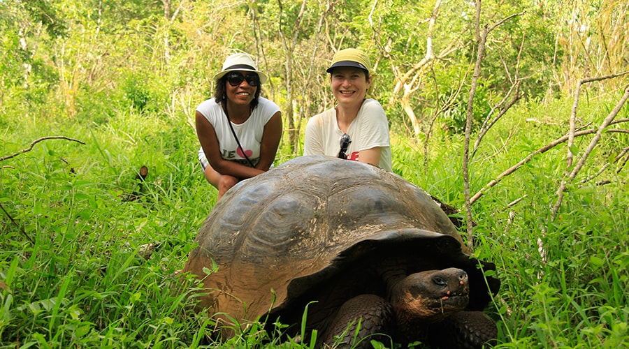 Galapagos Islands Travelling Classroom “The Secret of Evolution” - 15 Days